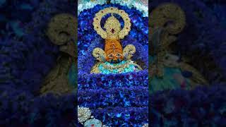 Syam janmotsav shyambabal love shyamba hindudeity [upl. by Lissie]