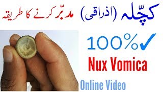 Kuchla Mudabbar karne ka tarika amp Nux Vomica Benefits in hindiurdu [upl. by Cressy257]