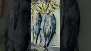 dubai fish market 🇦🇪🐟 dubai dubaitrekker dubaivlog food tamil [upl. by Gleich]