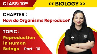 Class 10th BiologyHow Do Organisms Reproduce Part10 Reproduction in human beings Live 202324 [upl. by Sainana]