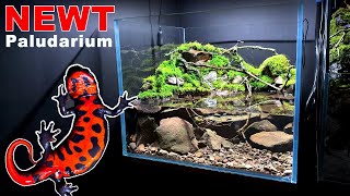 NEWT PALUDARIUM WATERFALL SETUP MOSS amp DETAILS  MD FISH TANKS [upl. by Jolene]