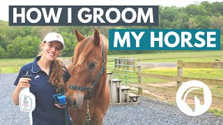 How to Groom a Horse StepByStep Guide [upl. by Armond644]