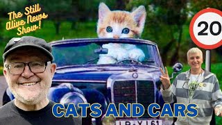 Still Alive  CATS amp CARS [upl. by Dody283]