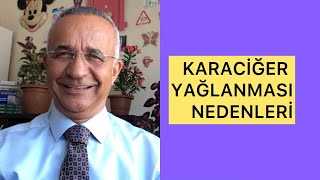 Karaciğer yağlanması nedenleri nelerdirkaraciğerkolesterolyağlanma ￼ [upl. by Eegnat]