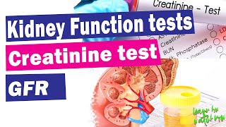 Kidney function tests  Serum creatinine test  GFR  Explained [upl. by Monreal]