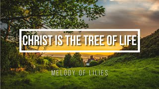 Christ Is the Tree of Life [upl. by Rediah]