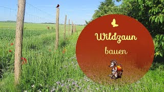 Wildzaun bauen  Wir bauen einen Wildzaun  Gartenzaun [upl. by Llertnahs]