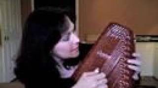 Autoharp Avenue  Chromatic vs Diatonic [upl. by Iow]