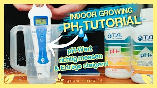 Grow Tutorial pHWert verstehen und richtig messen [upl. by Halden]