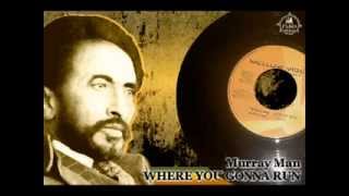 Murray ManWhere You Gonna Run  Mellow Vibes All StarsGonna Dub [upl. by Lorita]