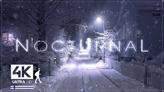 3 Hours of Pure Heavy Snowfall Night Walks in Finland  Slow TV 4K [upl. by Haimarej881]