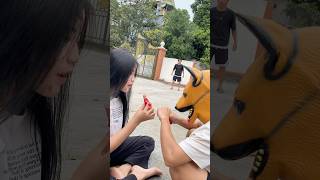 Im sorry pregnant woman hungry😿🥗dog doglover cute pets animals shortvideo [upl. by Llemar]