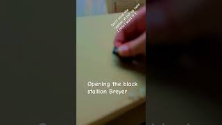 Breyer unboxing [upl. by Ermin]