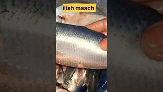 ilishilishmaach cooking youtubeshorts shorts ytshorts like subscribe supportme [upl. by Cross]