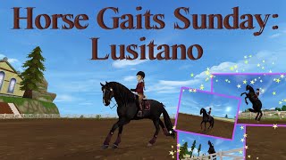 Horse Gaits Sunday Lusitano  SSO [upl. by Wadlinger]