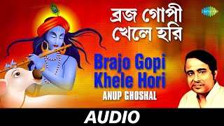 Brajo Gopi Khele Hori  All Time GreatsSongs Of Kazi Nazrul Islam  Anup Ghosal  Audio [upl. by Eulau]