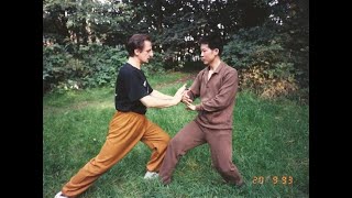 Grandmaster Walter Toch lesson 3 pressure points and selfdefence [upl. by Enilegna783]