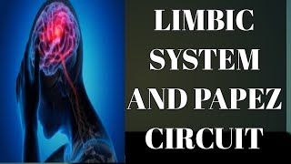 Anatomy of Limbic System and What is PAPEZ circuit [upl. by Lawler]