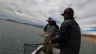 Spinney Reservoir Fly Fishing 6 19 2022 [upl. by Nollie]