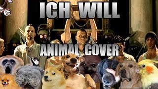 Rammstein  Ich Will Animal Cover [upl. by Ronoc]