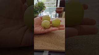 Amla masaledar amp Amla benefits shorts amla gooseberry [upl. by Ferdinana]