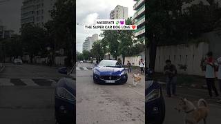 Maserati The super car 😈 trending luxurycars shorts viral video [upl. by Gittle]