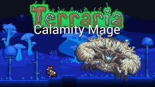 Crabulon vs Acid Gun  Terraria Calamity Mage  Episode 5 [upl. by Feirahs20]