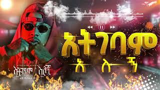 Ethiopian New Music Lij Michael Atgebam Alugn Offcial Audio [upl. by Hackett]