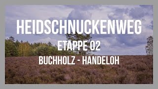 Heidschnuckenweg  Etappe 02  Buchholz id Nordheide  Handeloh  Lüneburger Heide  GPSTrack [upl. by Ydal]