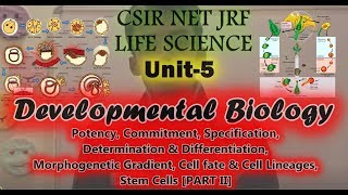 Unit 5 Developmental Biology Section A Part II [upl. by Eniroc]