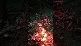 Winter Camping in Bethel Alaska [upl. by Odele]