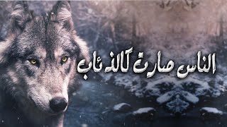 سعد السبيعي  أطنخ تدلل [upl. by Lebezej152]