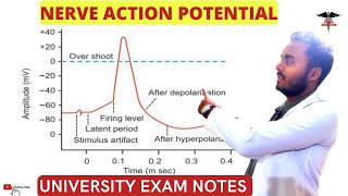 Nerve Action Potential  Saltatory Conduction  CNS Physiology [upl. by Catherina609]