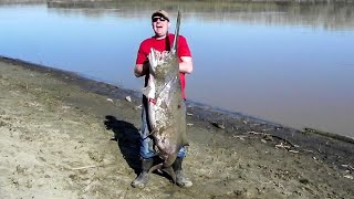 Paddlefishing the Missouri River [upl. by Nodlehs]