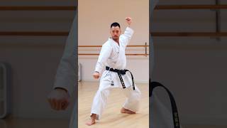 Karate Kata Heian Godan 🥋🔥🌊⛩ [upl. by Eneryc]