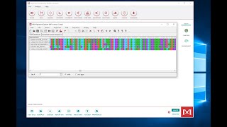 Making a Multiple Sequence Alignment in MEGA [upl. by Malanie]