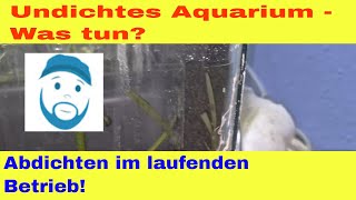 Undichtes 200 Liter Aquarium reparieren Abdichten im laufenden Betrieb [upl. by Imis]