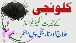 Kalonji Seed Benefits Ilaj aur Fawaid in Urdu Hindi  Health Tips [upl. by Ermentrude393]