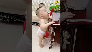 cute baby New whatsapp status ke liye mere channel ko subscribe 🤝 comment ✍️ like 👍 [upl. by Raynell]