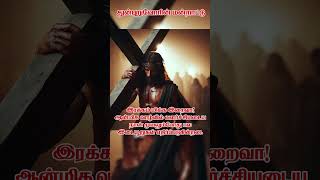 துன்புறுவோரின் மன்றாட்டு  கத்தோலிக்க ஜெபங்கள்  Part 1 avemaria tamilcatholic catholicprayers [upl. by Chiarra]