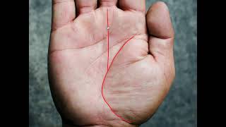 6 Extreme Wealth Lines in Palmistry [upl. by Alford375]