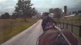 Aaron and Jessicas Buggy Rides BirdInHand PA 9811 [upl. by Aleras]