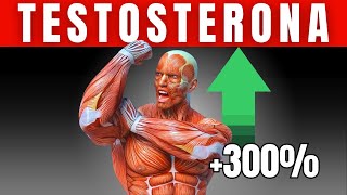 Como SUBIR la TESTOSTERONA en Hombres Naturalmente [upl. by Keram]