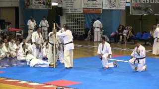 Karate Shidokan Hellas kancho Yoshiji Soeno Visit 2013 [upl. by Lamiv]