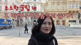 소소한 10 꿀팁 3비엔나에서 무료 음악회 즐기기 How to enjoy free concert in Vienna viennaaustria 오스트리아여행 유럽여행 [upl. by Cairistiona]