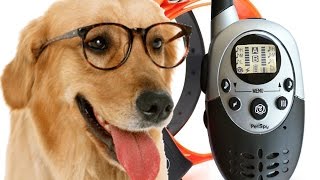 PetSpy 1100 Yard Waterproof Rechargeable Remote Training Dog Collar with Beep Vibration [upl. by Ankney]