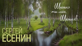 Шаганэ ты моя Шаганэ Сергей Есенин  ver1 [upl. by Atenik]