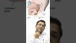 Spotlight on Salivary Gland Cancer Everything you need to know  Dr Amit Chakraborty Mumbai [upl. by Hakon189]