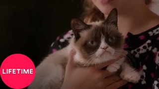 Grumpy Cats Worst Christmas Ever  Lifetime [upl. by Aggi]