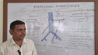 PORTOCAVAL ANASTOMOSIS PORTOSYSTEMIC ANASTOMOSIS ABDOMEN ANATOMY [upl. by Rosy]